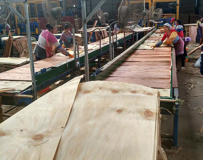 木質模板生產線